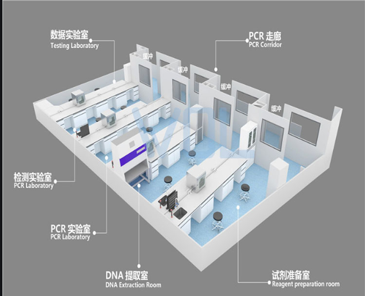 PCR實驗室建設(shè)效果圖
