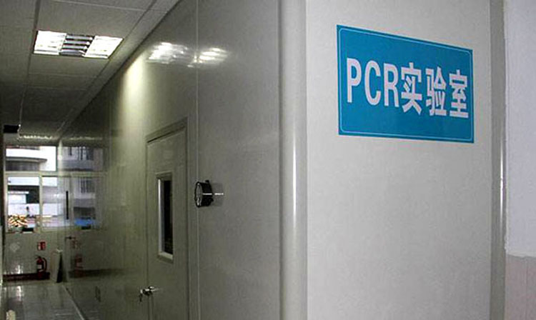PCR實驗室建設(shè)