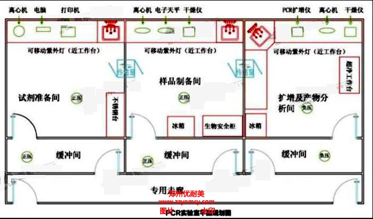 PCR實(shí)驗(yàn)室設(shè)計(jì)效果圖