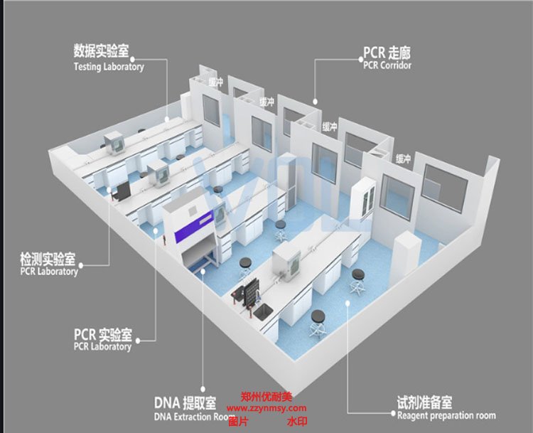 PCR實(shí)驗(yàn)室建設(shè)方案布局