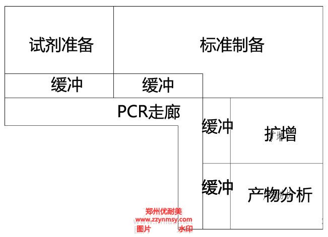 PCR實(shí)驗(yàn)室L形布局
