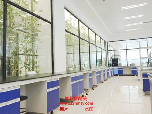 實驗室建設(shè)規(guī)劃