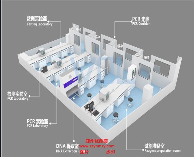 PCR實驗室建設